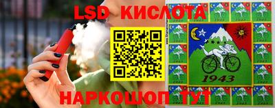 дмт Камышлов