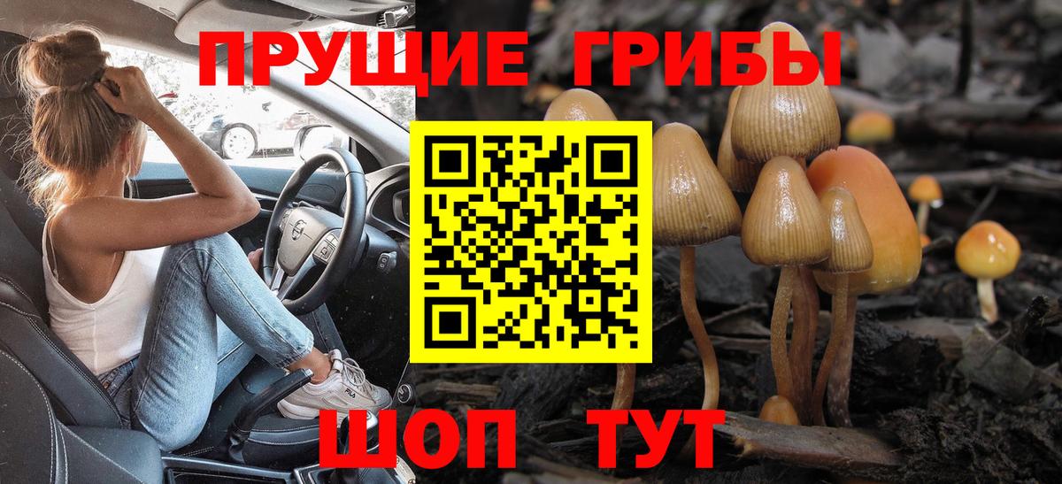 Псилоцибиновые грибы Cubensis Елец